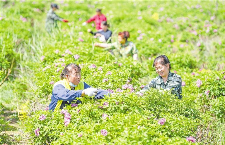 “花样”经济