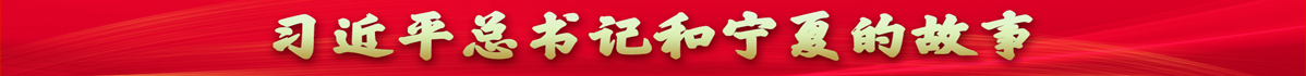 习近平总书记和宁夏的故事