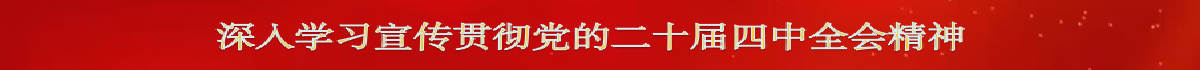 深入学习宣传贯彻党的二十届四中全会精神