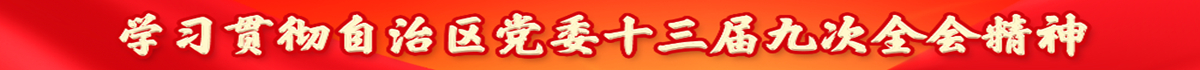 学习贯彻自治区党委十三届九次全会精神