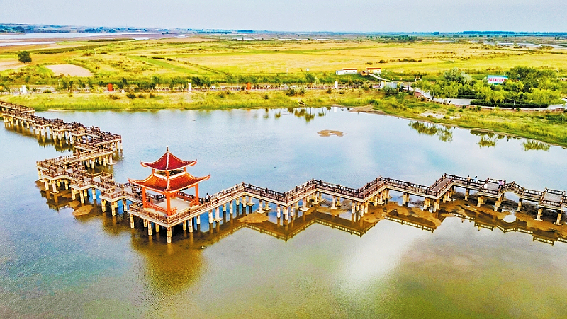 黄河畔的生态明珠：惠农区石嘴子公园