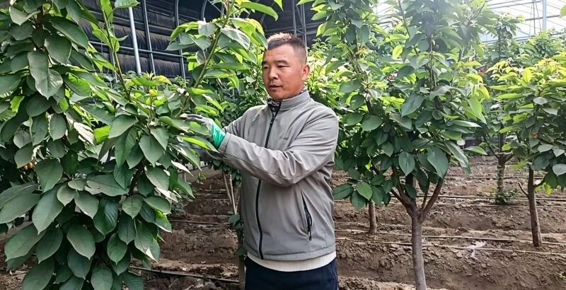 微信图片_2026-05-07_103328_649.jpg